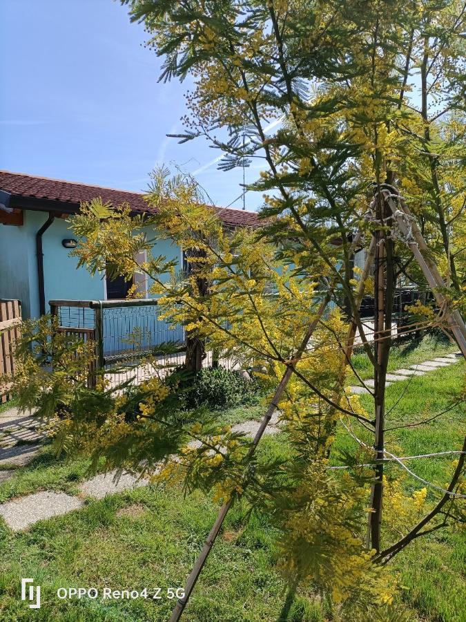 Casa Oasi Apartment Villa Cameroni